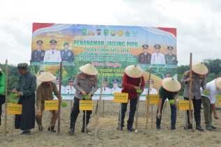 Dukung Ketahanan Pangan, Polres Inhu Tanam Jagung Pipil di Lahan 10 Hektare
