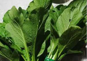 Lima Manfaat Sawi bagi Kesehatan Tubuh, Salah Satunya Turunkan Kolesterol