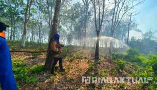 Lahan di Kawasan Wisata Sungai Hijau Kampar Terbakar