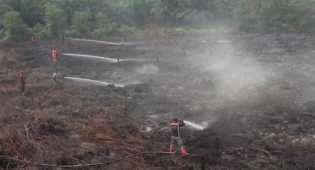 Karhutla Hanguskan 15 Hektare Lahan Gambut di Dumai, Tim Gabungan Dikerahkan