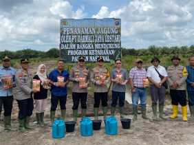 Kapolres Bengkalis Tanam Jagung di Lahan 5 Hektare, Dukung Ketahanan Pangan Nasional