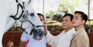 Gibran Mengaku Dapat Dukungan Prabowo untuk Maju Gubernur