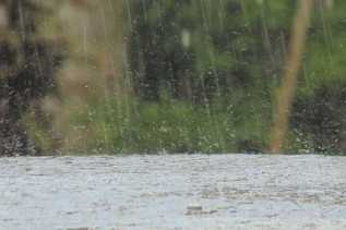 BMKG: 4 Daerah di Riau Ini Waspada Hujan Angin Disertai Petir di Sore dan Malam Hari