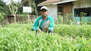 Kisah Petani Berdasi Binaan RAPP