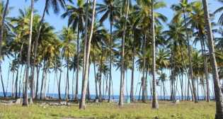 Deadline LKJ Ali Kelana Dimajukan 20 April 2023