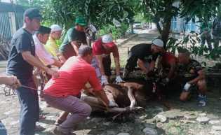 PWI Riau Sembelih Sembilan Hewan Kurban