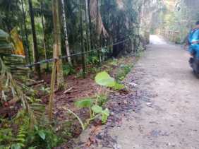 Kabel Listrik di Arena Pacu Jalur Tepian Tigo Muaro Membahayakan Warga, Ini Tanggapan PLN