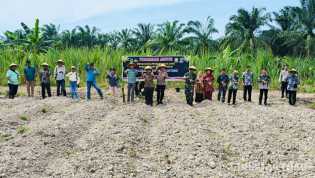 Dukung Asta Cita Presiden, Polsek Rimba Melintang Gelar Giat Penanaman Jagung Kuartal III