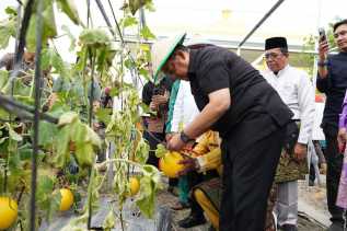 Kunker ke Rohil, Wagubri Panen Buah di Taman Edukasi Pertanian