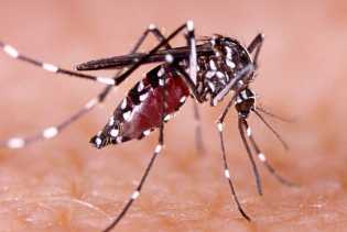 Masyarakat Diminta Waspada, Kasus DBD di Riau Alami Peningkatan