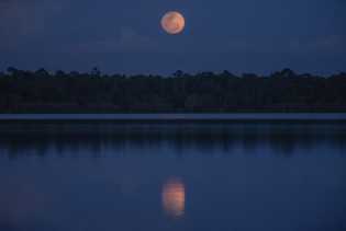 Meneroka Keindahan Zamrud, Serpihan Taman Surga di Kota Istana