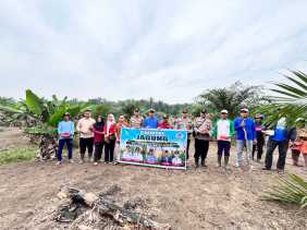 Wujudkan Asta Cita Presiden, Kapolsek Rambah Samo Bersama Kades Tanam Bibit Jagung