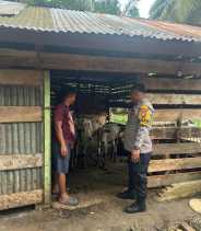 Polsek Bangko Pusako Gelar Pembinaan Ketahanan Pangan di Kepenghuluan Pematang Ibul