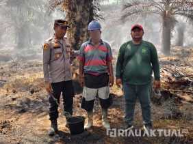Polres Rohil Tangkap Pelaku Pembakar Lahan di Balai Jaya