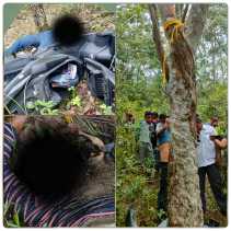 Usai Autopsi, Polisi Nyatakan Mayat Wanita di Kebun Karet Korban Bunuh Diri