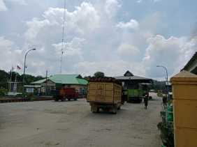 PT GSL Kembali Terima Buah Ilegal dari Kawasan TNTN Toro, Bupati Kuansing Minta Proses Hukum