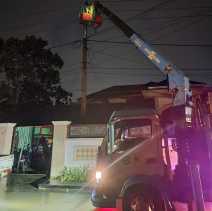 Gerak Cepat PLN Tangani Pohon Tumbang yang Bikin Listrik Rumah Warga Pekanbaru Padam
