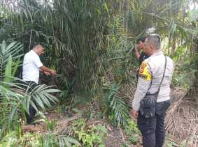 Siswi SMP di Siak Digilir 6 Remaja di Belakang Mesjid, 3 Pelaku Masih SD