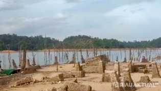 PLTA Koto Panjang di Kampar Mengering, Puing Kampung yang Hilang Muncul Lagi