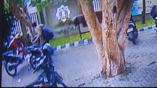 Terekam CCTv, Pencuri Gasak Motor Jamaah di Masjid Al Falah Jalan Sumatera Pekanbaru