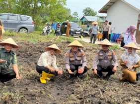 Dukung Asta Cita Presiden, Polsek TPTM Tanam Jagung di Lahan 1 Hektare