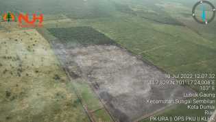 Lahan di Tiga Kabupaten di Riau Terbakar, Tim Satgas Kekurangan Helikopter