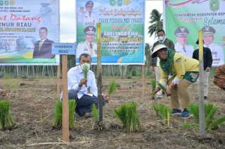 Tiga Tahun Syam-Edy, Nilai Tukar Petani Terus Meningkat, Ini Programnya