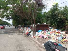 DLHK Pekanbaru Tegaskan Bakal Sita Angkutan Mandiri yang Buang Sampah Sembarangan