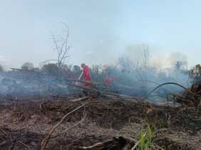 Manggala Agni Padamkan Karhutla di Kampar