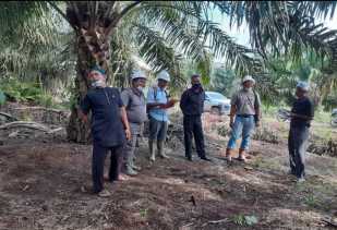 SK Bupati Bengkalis Tentang Pemilik Kebun Plasma Koperasi BBDM - PT SDA Sah Secara Hukum dan UU Perkoperasian