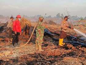 Diduga Sengaja Dibakar, 1 Hektare Lahan di Dusun Kasang Salak Rohul Rata Dilalap Api