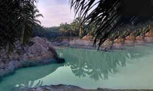 PTPN V: Kegiatan Eksplorasi Sesuai Regulasi