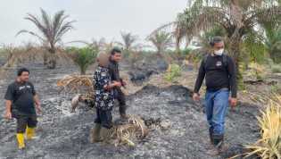 Polres Bengkalis Tetapkan Satu Tersangka Karhutla di Kawasan Hutan Produksi Terbatas Desa Buluh Apo