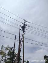 Gerak Cepat PLN Pulihkan Listrik Ribuan Warga Kampar Terdampak Puting Beliung