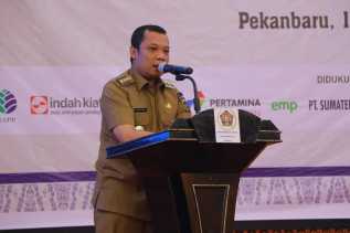 Pemko Pekanbaru Bakal Bangun Alun-alun di Bawah Jembatan Siak IV