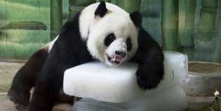 3 Efek Buruk yang Dapat Dialami Ketika Kamu Kepanasan