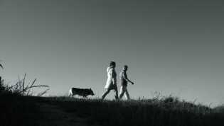 Waktu Terbaik Olahraga Jalan Kaki, Jangan Salah Hasilnya Maksimal