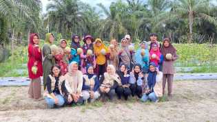 Panen Melon Bersama Mahasiswa KKN, Petani Trimulya Jaya Ungkap Rahasia Manisnya Hasil Tanam