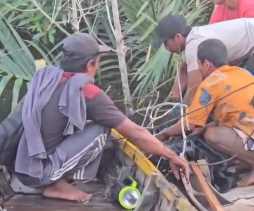 Remaja di Dumai Tewas Diterkam Buaya Saat Memancing