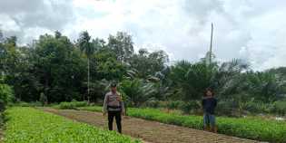 Polsek Bangko Pusako Dukung Ketahanan Pangan, Dorong Kesejahteraan Petani