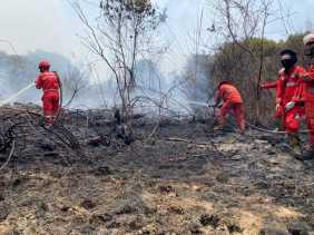 Wamen LHK, Dorong Pemda Tetapkan Status Siaga Darurat Karhutla