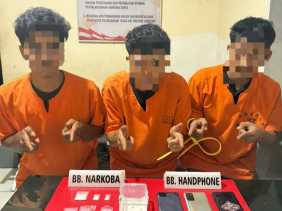 Tiga Pengedar Sabu di Lahan Perusahaan Ditangkap Polres Kampar