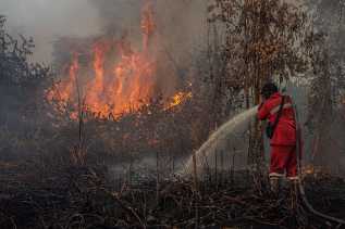 Status Tanggap Darurat Karhutla Diperpanjang Hingga 18 Agustus