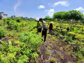 Teluk Meranti Gelar Cooling System dan Sambang Kelompok Tani