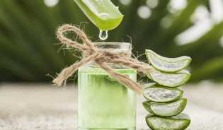 5 Manfaat Lidah Buaya Selain Kecantikan