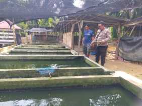 Polsek Bangko Pusako Dukung Ketahanan Pangan di Kepenghuluan Bangko Sempurna