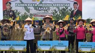 Panen Raya Polda Riau, 156,6 Ton Jagung Pipil Siap Didistribusikan