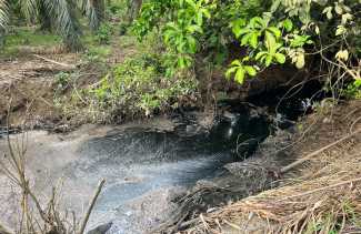 KNPI Temukan Dugaan Pembuangan Limbah PT RSM ke Sungai, Siap Layangkan Gugatan