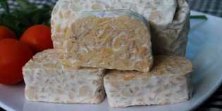 Apa Benar Tempe Tidak Boleh Dikonsumsi oleh Penyakit Pasien Ginjal?