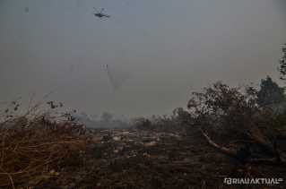 Pencegahan Karhutla, Pemprov Riau Usulkan Bantuan Helikopter ke Pusat